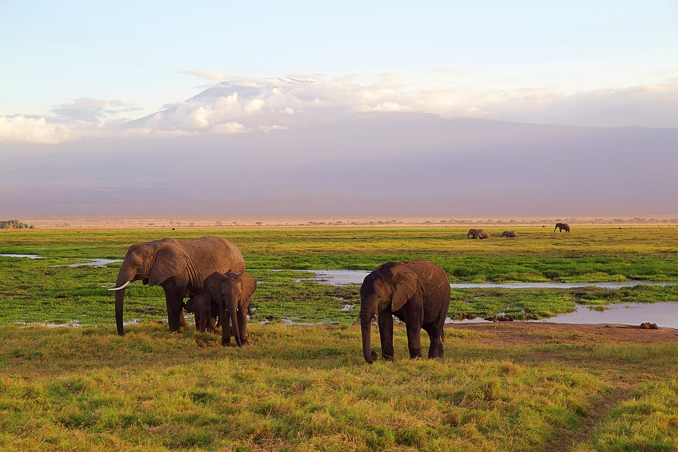 Voyage Afrique