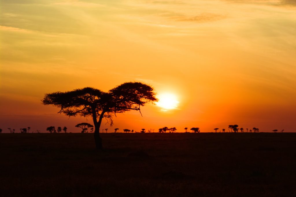 Coucher-soleil-savane